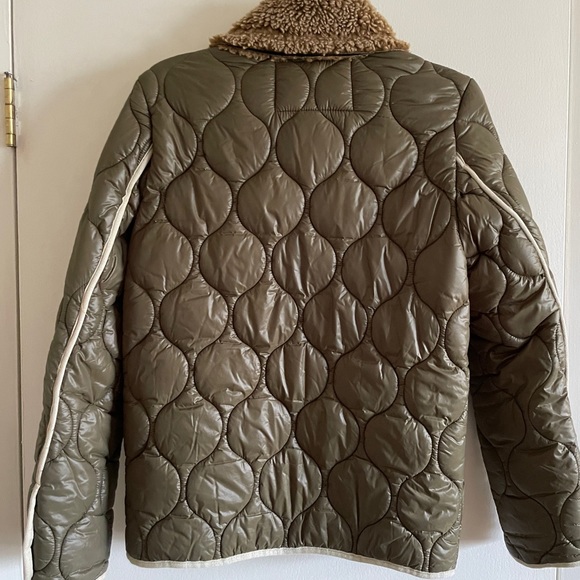 Winter coat bulldog - Picture 2 of 13